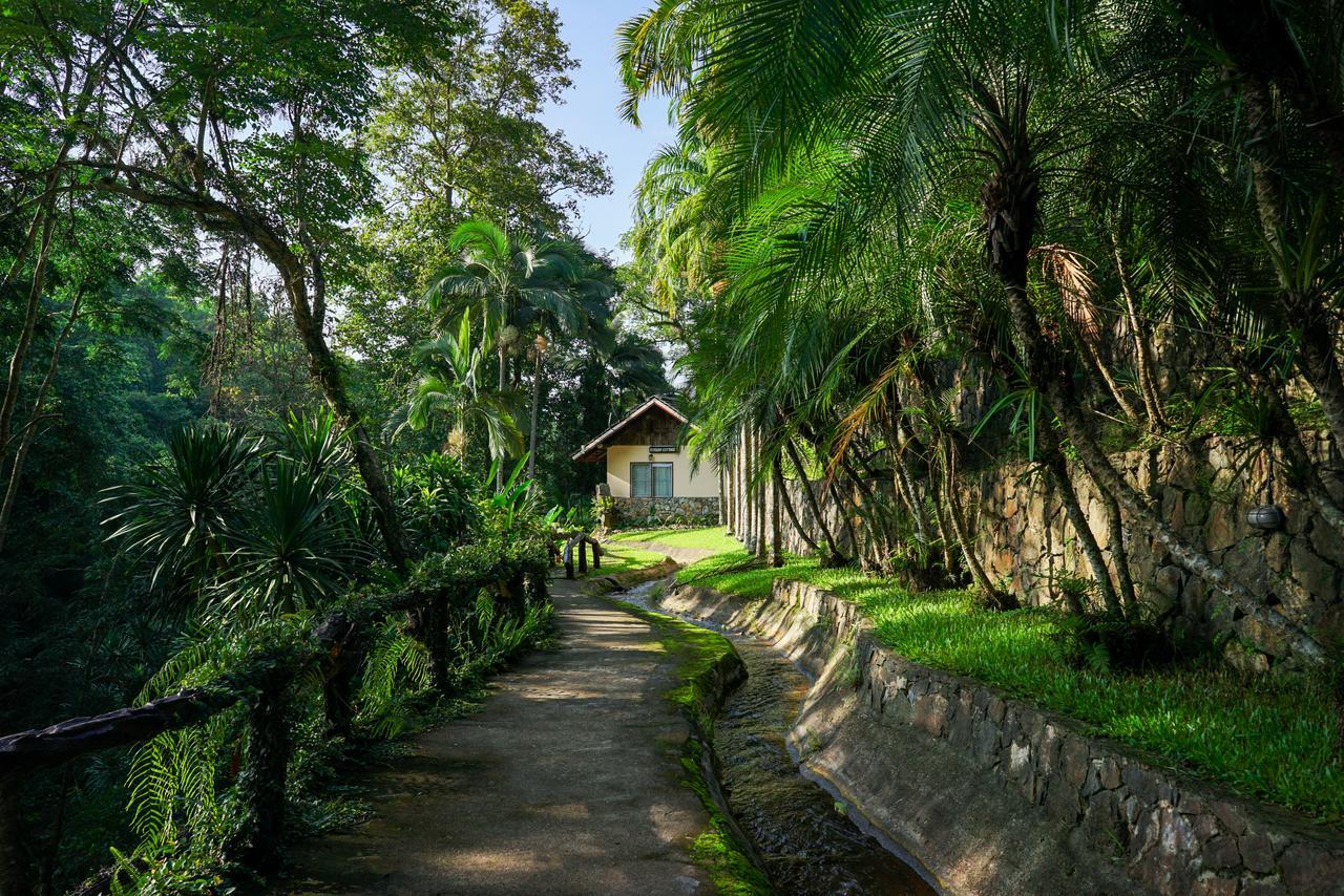 Phutarntree Resort Chiang Mai Exterior photo